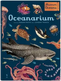 muzeum-oceanu-oceanarium