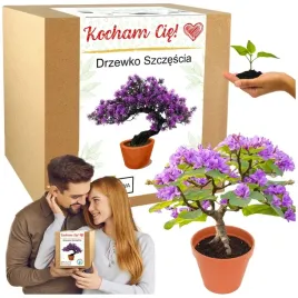 prezent-na-walentynki-dla-niej-dla-niego-drzewko-szczescia-prezent-dla-mamy