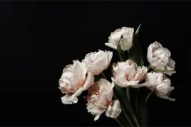 fototapeta-do-salonu-jasne-peonie-rosliny-450x300