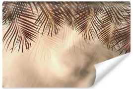fototapeta-liscie-palmowe-rosliny-natura-450x300