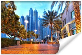 fototapeta-mlodziezowa-ulice-dubaju-palmy-450x300