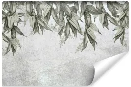 fototapeta-egzotyczne-liscie-beton-natura-450x300