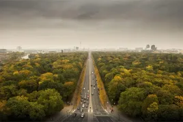fototapeta-do-sypialni-berlin-droga-las-3d-450x300