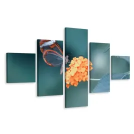 obraz-5-czesciowy-rosliny-motyl-makro-3d-250x150