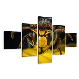 obraz-5-czesciowy-owad-osa-natura-makro-3d-250x150