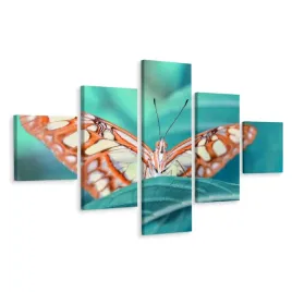 obraz-5-czesciowy-motyl-z-bliska-natura-3d-250x150
