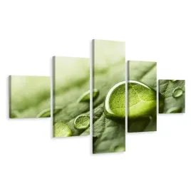 obraz-5-czesciowy-woda-krople-lisc-natura-250x150