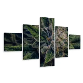 obraz-wieloczesciowy-konopia-liscie-cbd-3d-250x150