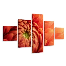 obraz-poliptyk-chryzantema-kwiat-makro-3d-250x150
