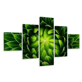 obraz-5-czesciowy-roslina-zielen-natura-3d-250x150