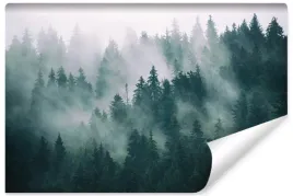 fototapeta-drzewa-we-mgle-krajobraz-3d-na-wymiar