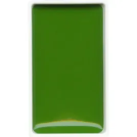 farba-akwarelowa-kuretake-gansai-tambi-053-sap-green
