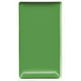 farba-akwarelowa-kuretake-gansai-tambi-505-ivy-green