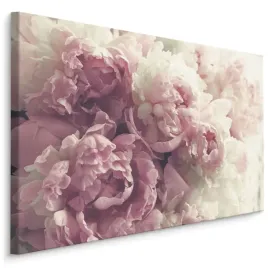 obraz-na-plotnie-piwonie-kwiaty-natura-3d-40x30