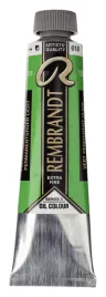 farba-olejna-rembrandt-40-ml-permanent-green-light