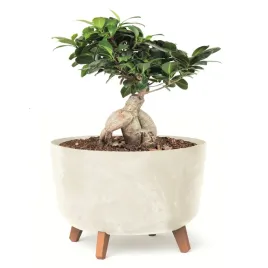donica-okragla-39-cm-kremowy-misa-nozki-wklad