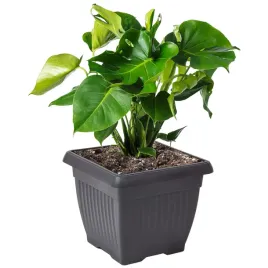 doniczka-oslonka-kwadratowa-duza-tradycyjna-45-cm-antracytowy-tworzywo