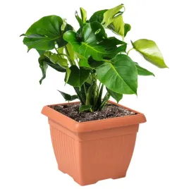 doniczka-oslonka-kwadratowa-duza-tradycyjna-45-cm-terakota-tworzywo