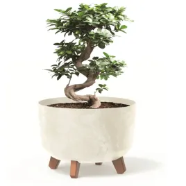 donica-okragla-29cm-kremowy-misa-nozki-wklad