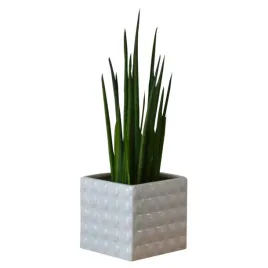 doniczka-oslonka-ceramiczna-biala-polysk-kwadrat-17x15cm-ozdobna-struktura