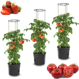 3x-donica-do-uprawy-warzyw-pomidory-ogorki-39cm