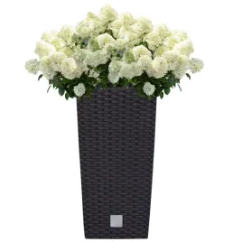 donica-wysoka-wklad-rattan-22x22x42cm-antracyt