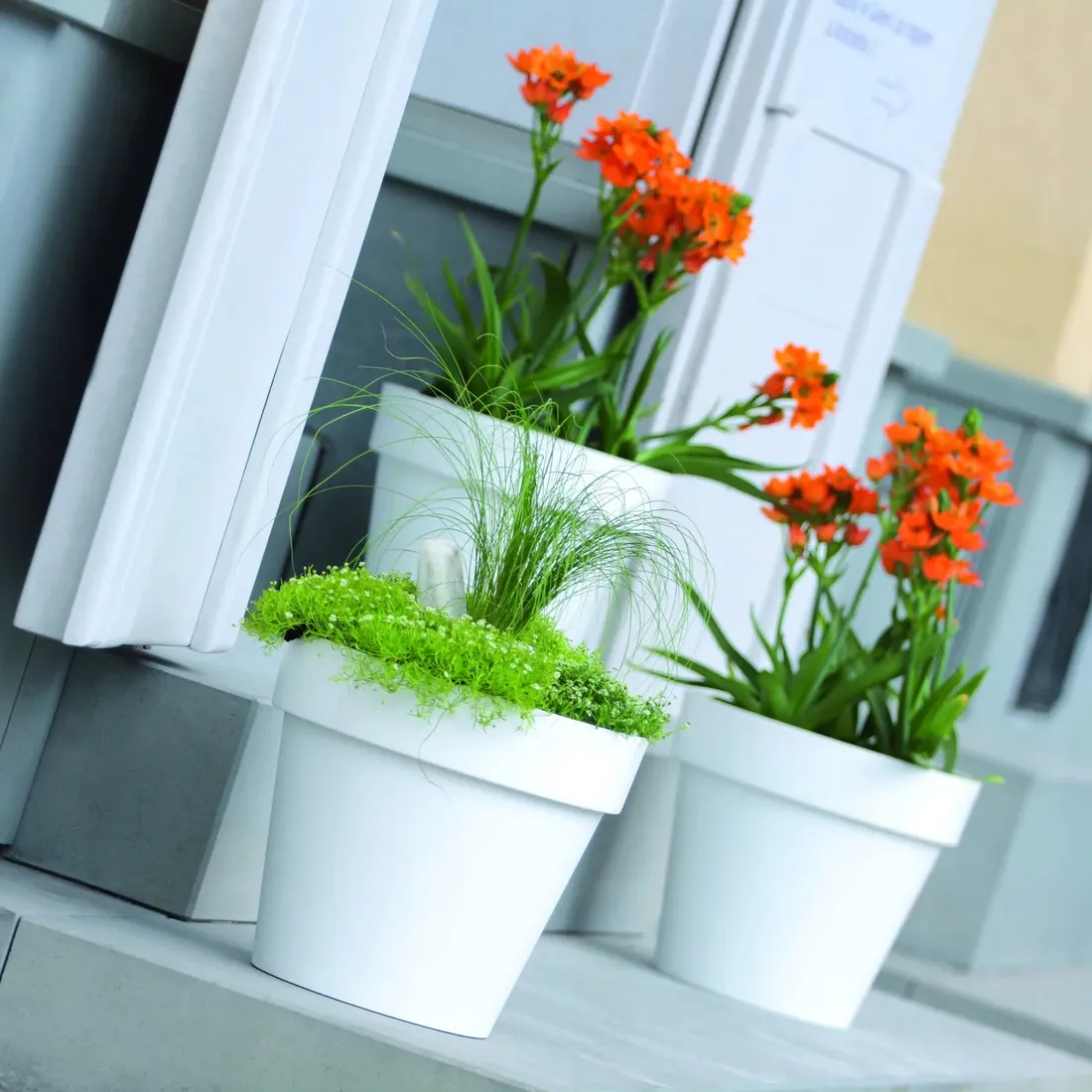 doniczka-okragla-sred-20-cm-mocca