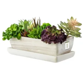 kaktusiarka-doniczka-ceramika-jasny-beton-29cm-podstawka-sukulenty-kaktusy
