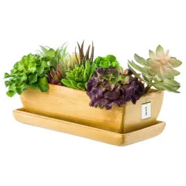 kaktusiarka-doniczka-ceramika-jasny-braz-mat-29cm-z-podstawka-sukulenty