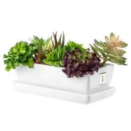 kaktusiarka-doniczka-ceramika-biala-polysk-29cm-podstawka-sukulenty-kaktusy
