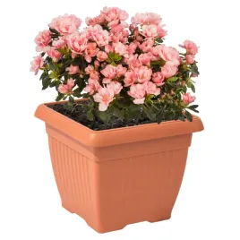 doniczka-oslonka-kwadratowa-tradycyjna-30-cm-terakota-tworzywo