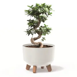 donica-okragla-24cm-misa-matowa-nozki-wklad-biala