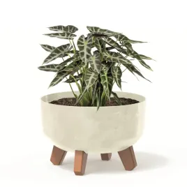 donica-okragla-24cm-niska-beton-nozki-kremowy