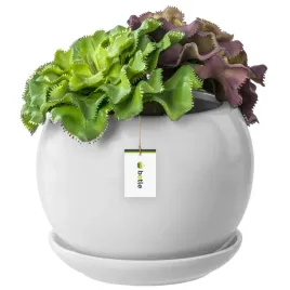 doniczka-ceramiczna-kula-2-z-podstawka-biala-eco