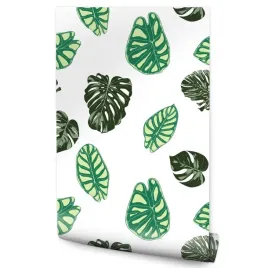 tapeta-do-salonu-liscie-monstery-natura-rosliny