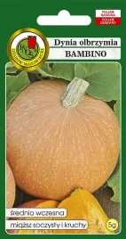 dynia-olbrzymia-bambino-4g-nasiona