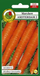 marchew-jadalna-amsterdam-2-6g-nasiona