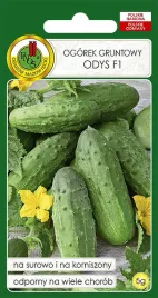 ogorek-gruntowy-odys-f1-5g-nasiona