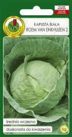 kapusta-glowiasta-biala-roem-van-enkhuizen-2-2g-nasiona