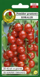 pomidor-gruntowy-koralik-05g-nasiona