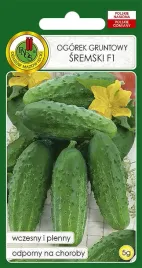 ogorek-gruntowy-sremski-f1-2g-nasiona