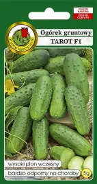 ogorek-gruntowy-tarot-f1-2g-nasiona