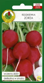 rzodkiewka-zorza-5g-nasiona