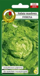 salata-glowiasta-maslowa-syrena-1g-nasiona