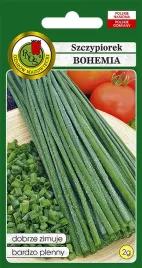 szczypiorek-bohemia-2g-nasiona