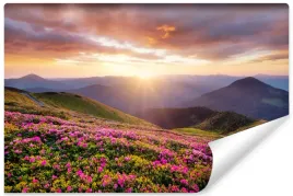 fototapeta-do-salonu-zachod-slonca-gory-kwiaty-pejzaz-natura-3d-368x254
