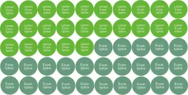etykiety-na-probki-naklejki-na-olejki-eteryczne-lemon-eucalyptus-eucalyptu