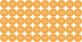 etykiety-naklejki-na-olejki-eteryczne-wild-orange-50-szt