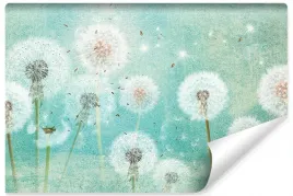 fototapeta-do-salonu-dmuchawce-natura-3d-450x300