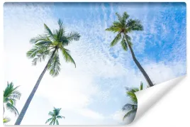 fototapeta-widok-z-dolu-na-palmy-niebo-3d-450x300